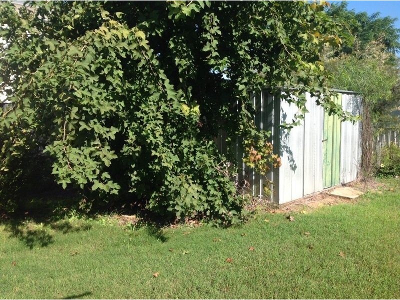 2/23 Birkett Street, Chinchilla QLD 4413