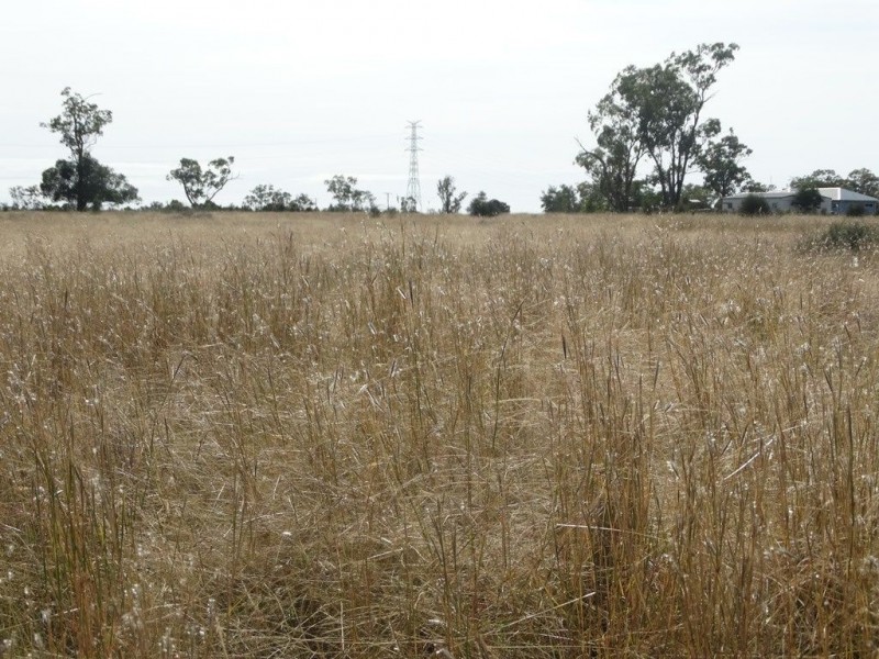 1/Lot 30 Dawson Gates Road, Chinchilla QLD 4413