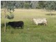 772 Wondai Road, Chinchilla QLD 4413