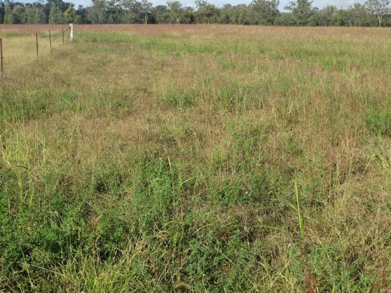 772 Wondai Road, Chinchilla QLD 4413