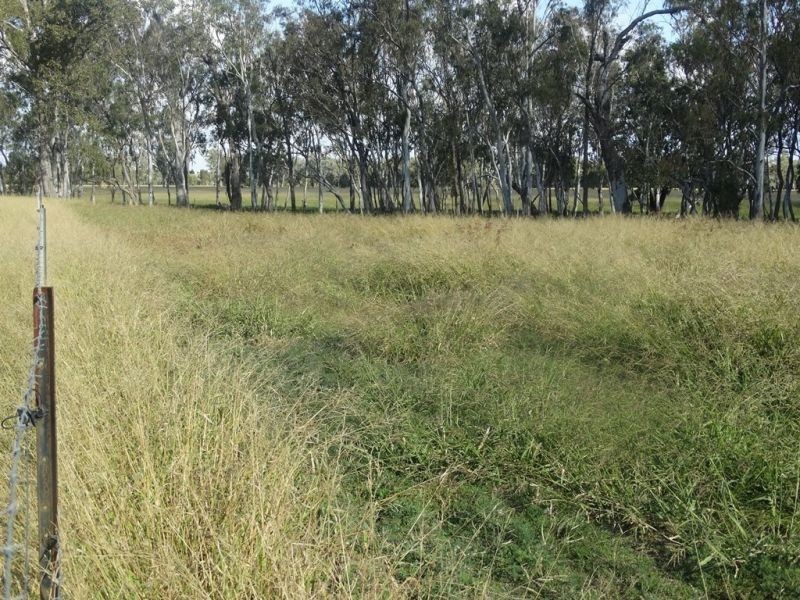 772 Wondai Road, Chinchilla QLD 4413