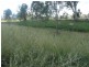 772 Wondai Road, Chinchilla QLD 4413