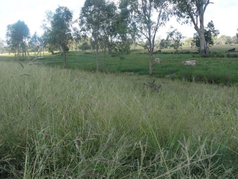 772 Wondai Road, Chinchilla QLD 4413