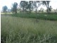 772 Wondai Road, Chinchilla QLD 4413