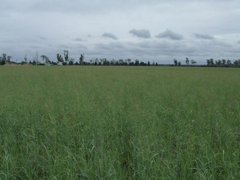 Lot 21 V Bells Road, Chinchilla QLD 4413