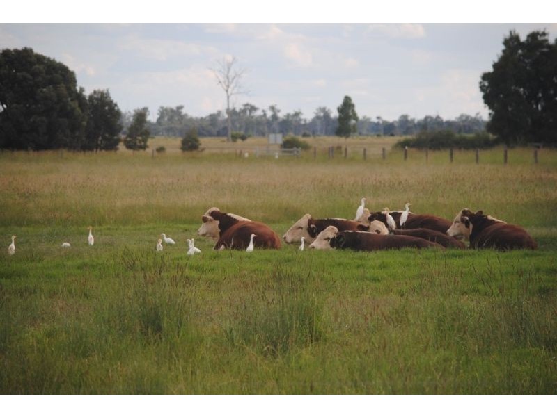 Lot 21 V Bells Road, Chinchilla QLD 4413