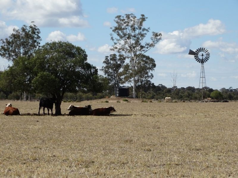 Lot 21 V Bells Road, Chinchilla QLD 4413