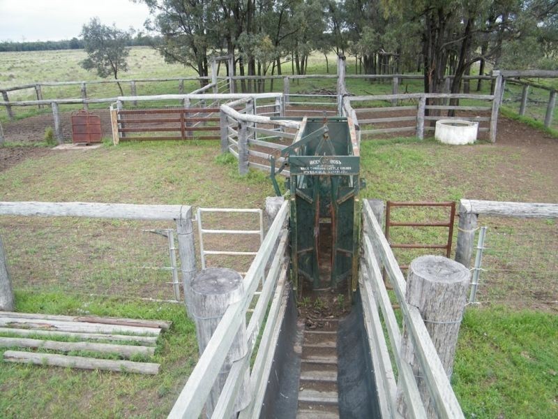 Melrose Pelican Back Road, Burncluith QLD 4413