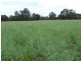 Melrose Pelican Back Road, Burncluith QLD 4413
