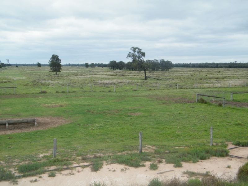 Melrose Pelican Back Road, Burncluith QLD 4413