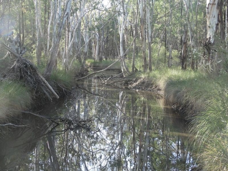 Lot 17 Wieambilla Road, Wieambilla QLD 4413