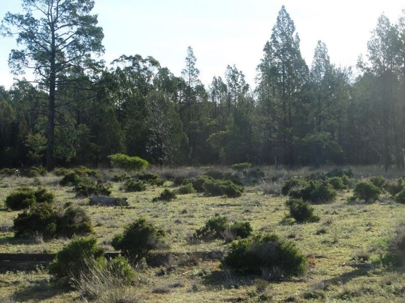 Lot 17 Wieambilla Road, Wieambilla QLD 4413