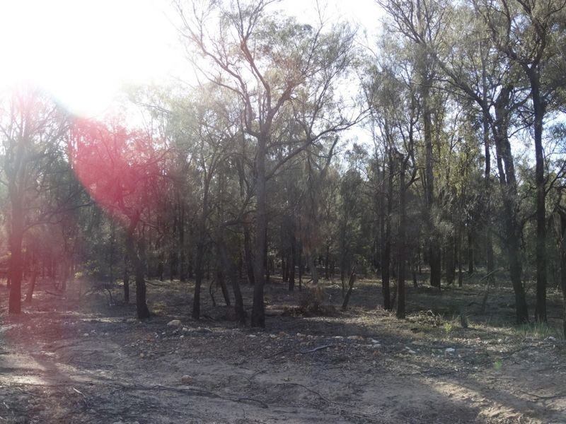 Lot 17 Wieambilla Road, Wieambilla QLD 4413