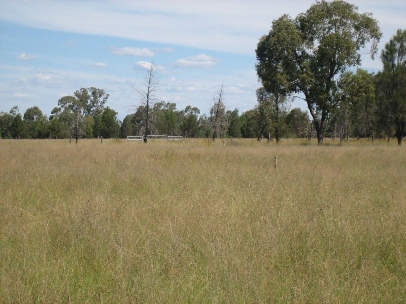 29353 Warrego Highway, Miles QLD 4415