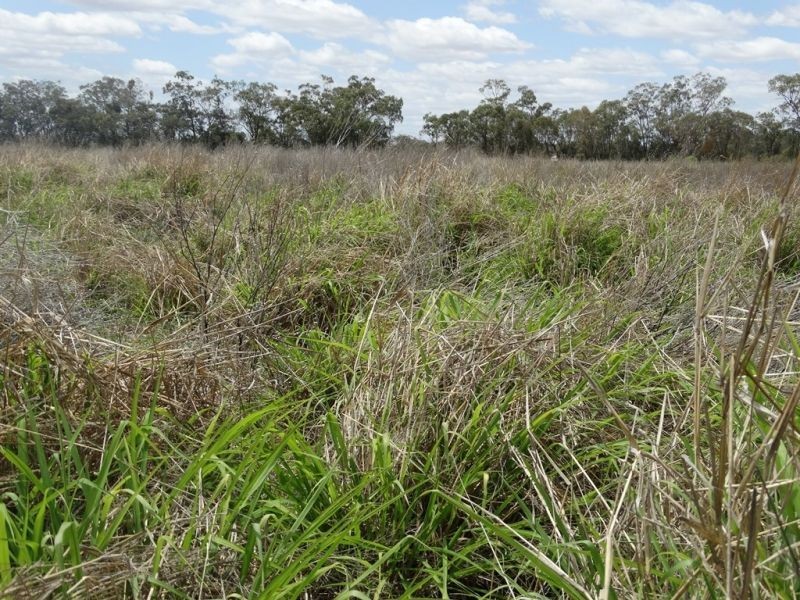 Lot 17 Red Hill Road, Chinchilla QLD 4413