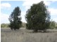 Lot 17 Red Hill Road, Chinchilla QLD 4413