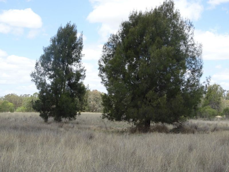 Lot 17 Red Hill Road, Chinchilla QLD 4413