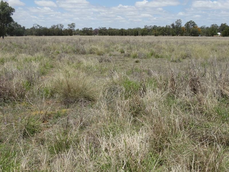 Lot 17 Red Hill Road, Chinchilla QLD 4413