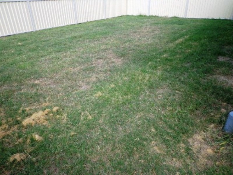 19 Cello Ct, Chinchilla QLD 4413