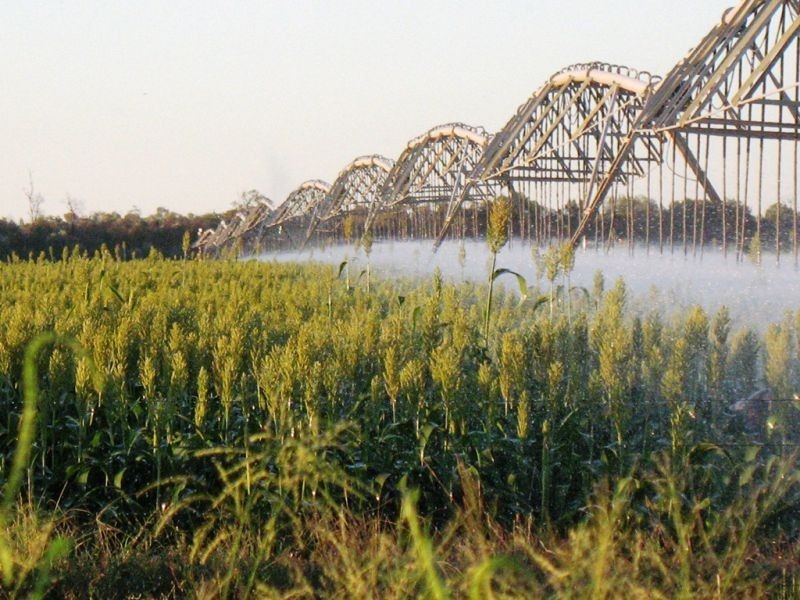 67 Jahnkes Road, Chinchilla QLD 4413