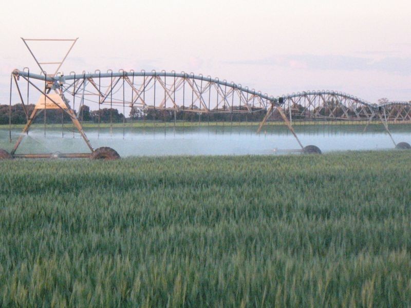 67 Jahnkes Road, Chinchilla QLD 4413