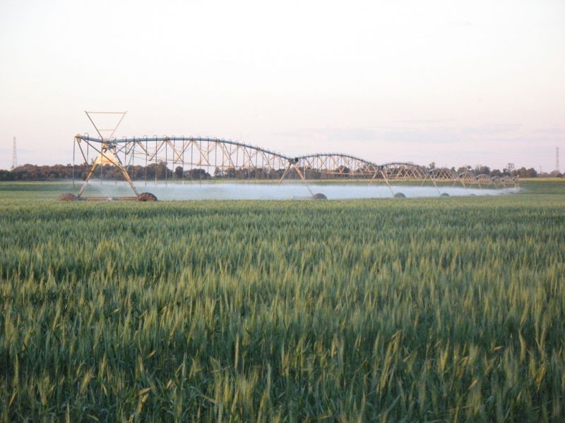 67 Jahnkes Road, Chinchilla QLD 4413