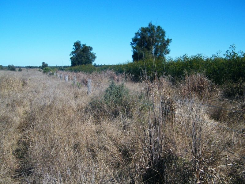 67 Jahnkes Road, Chinchilla QLD 4413