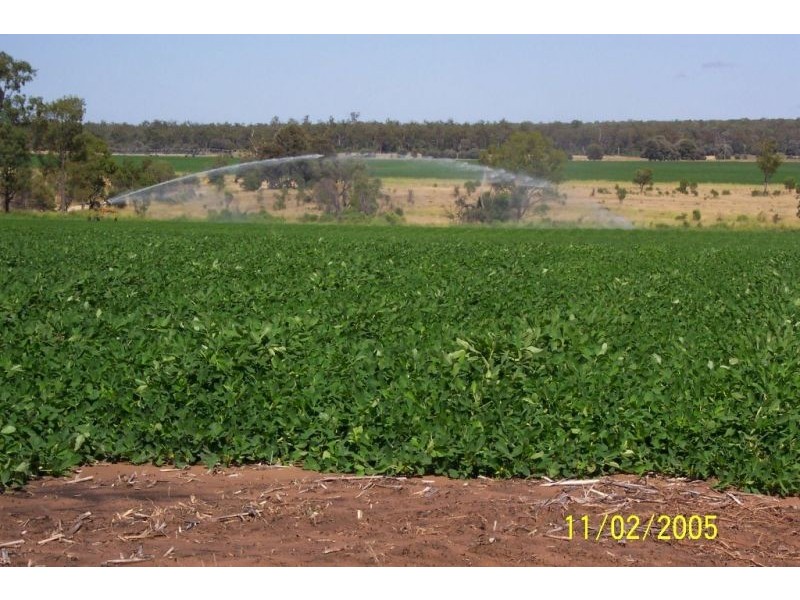 67 Jahnkes Road, Chinchilla QLD 4413