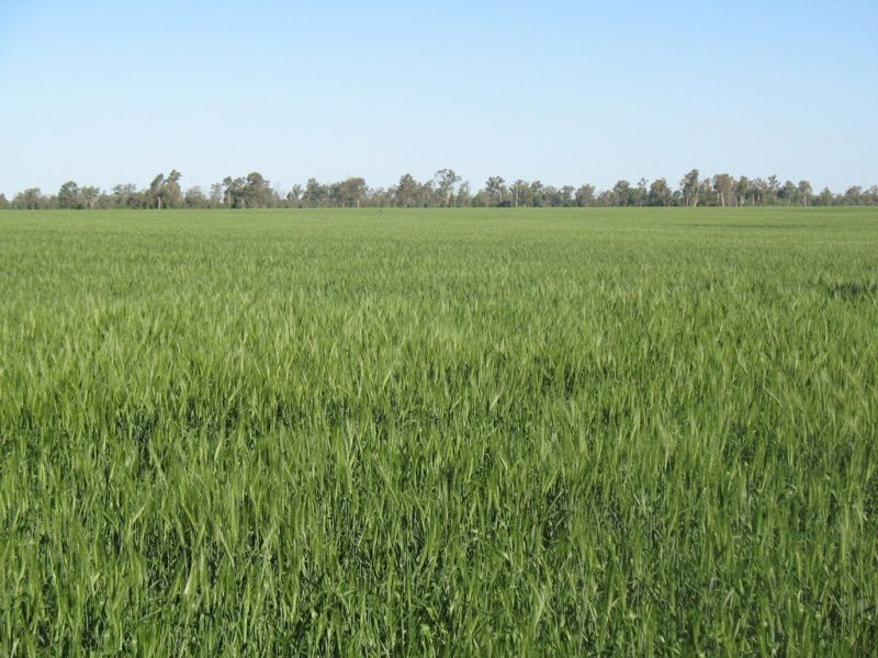 67 Jahnkes Road, Chinchilla QLD 4413