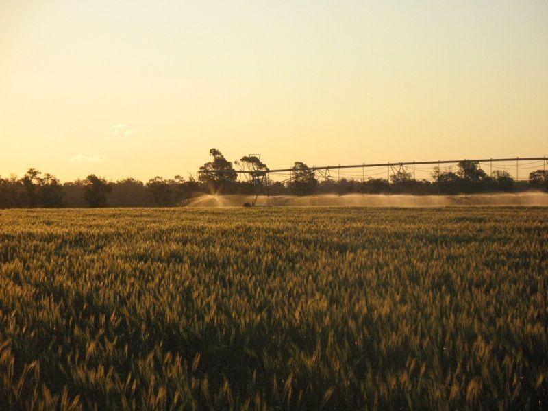 67 Jahnkes Road, Chinchilla QLD 4413