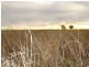 Lot 17 Aerodrome Road, Chinchilla QLD 4413