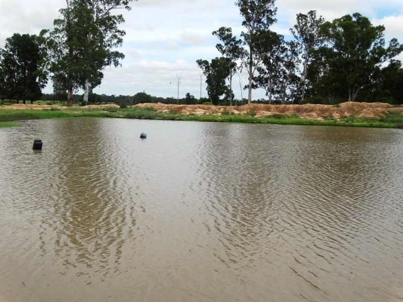 . V Bells Road, Chinchilla QLD 4413