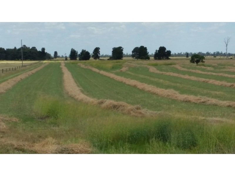 . V Bells Road, Chinchilla QLD 4413