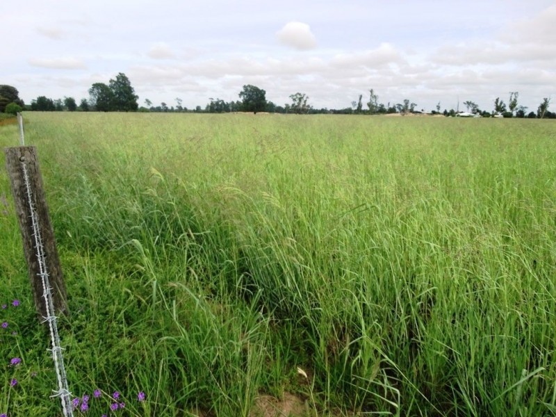 . V Bells Road, Chinchilla QLD 4413