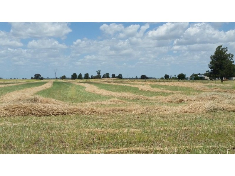 . V Bells Road, Chinchilla QLD 4413