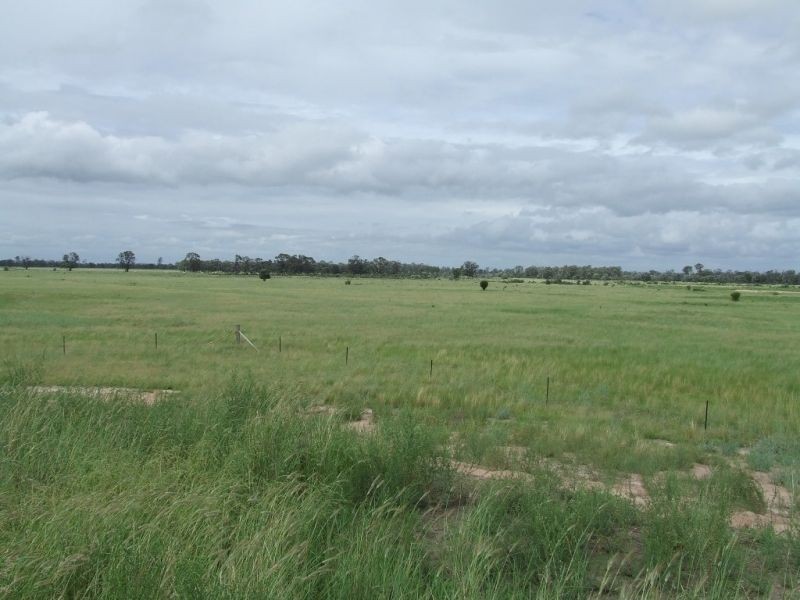 Melrose Pelican Back Road, Chinchilla QLD 4413