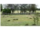 Mornington 13 McKnights Road, Chinchilla QLD 4413