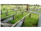 Mornington 13 McKnights Road, Chinchilla QLD 4413
