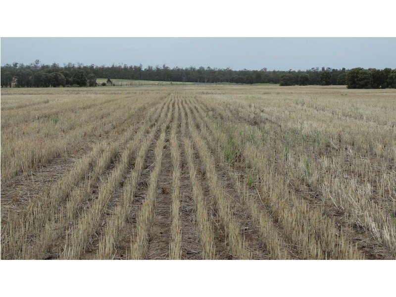 “Lockvoil” North Dulacca Road, Dulacca QLD 4425