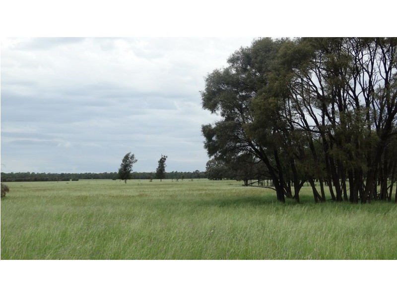 “Lockvoil” North Dulacca Road, Dulacca QLD 4425