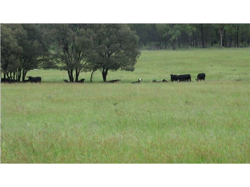 “Lockvoil” North Dulacca Road, Dulacca QLD 4425