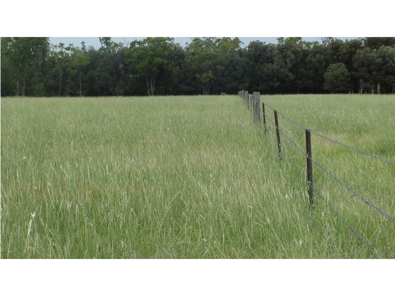 “Lockvoil” North Dulacca Road, Dulacca QLD 4425