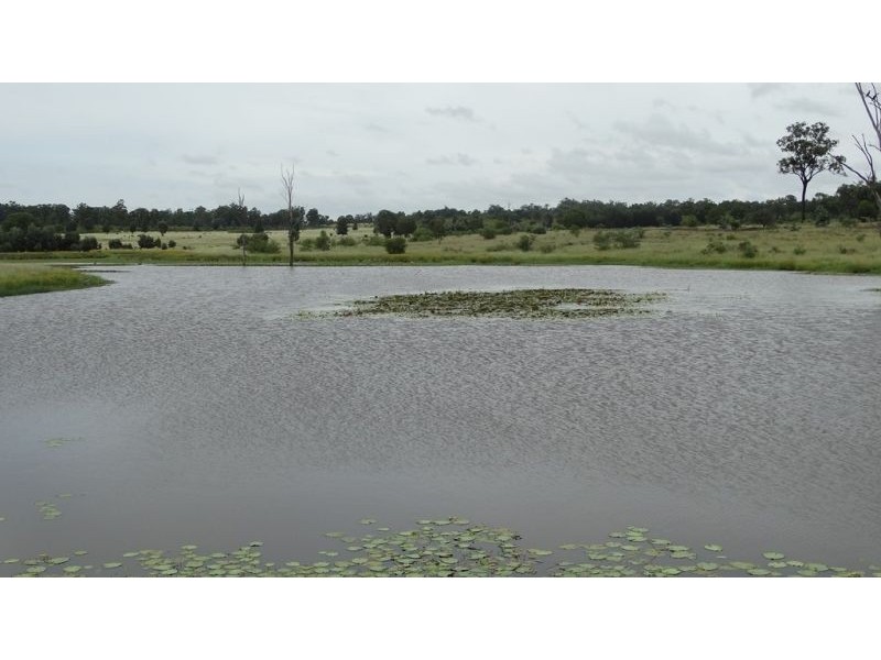 Surcingle Road, Chinchilla QLD 4413