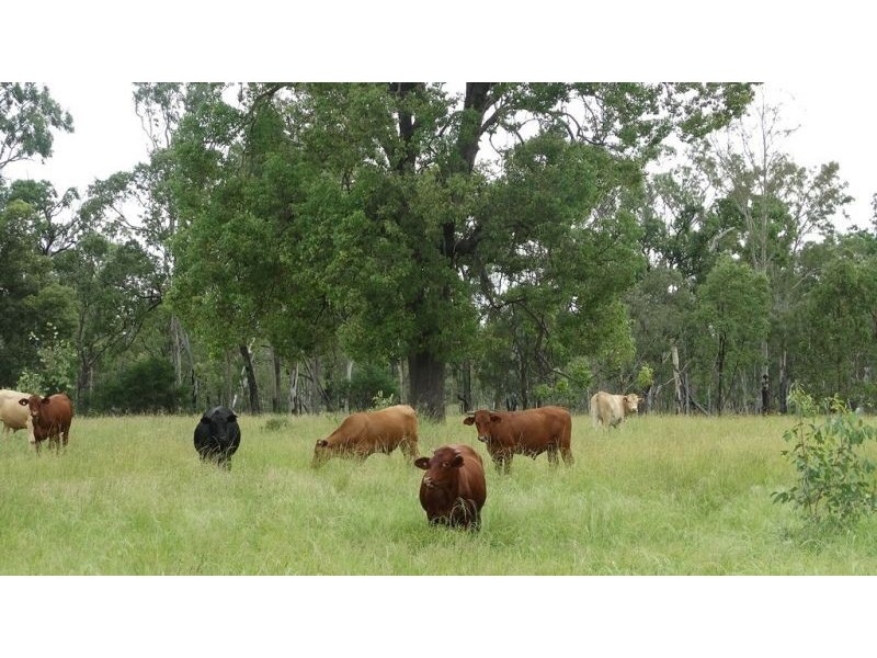 Surcingle Road, Chinchilla QLD 4413