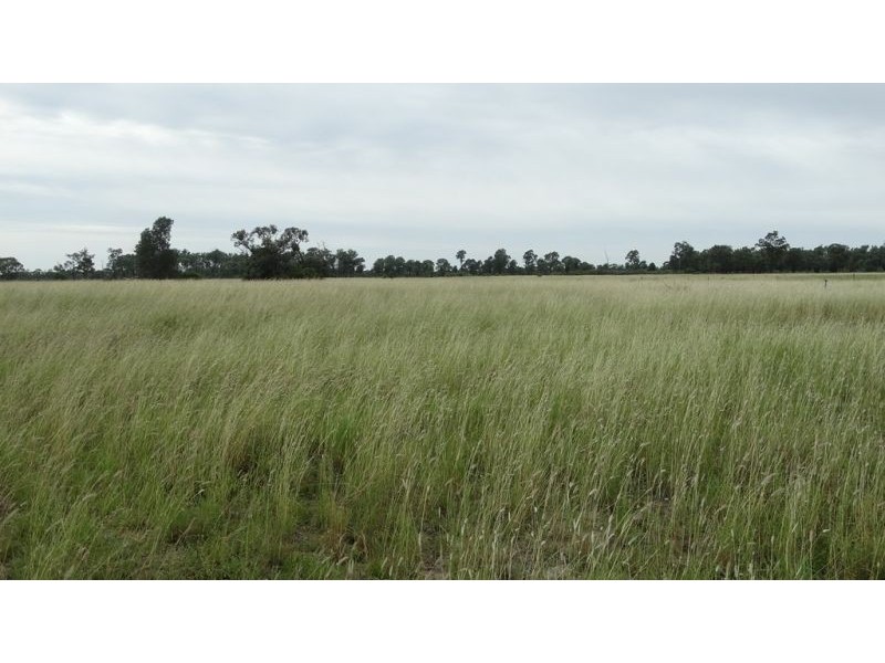 Surcingle Road, Chinchilla QLD 4413