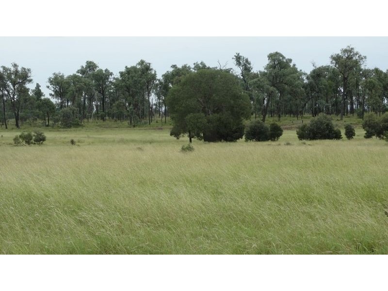 Surcingle Road, Chinchilla QLD 4413