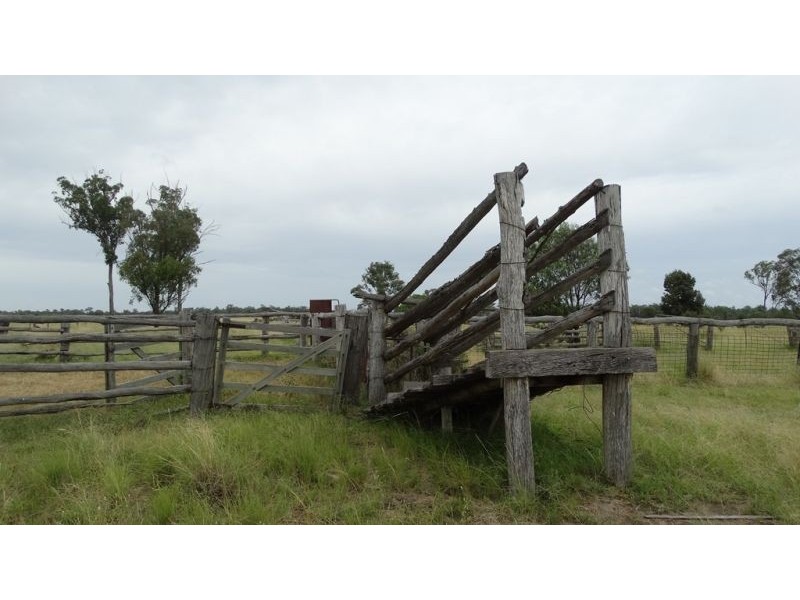 Surcingle Road, Chinchilla QLD 4413