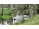 Surcingle Road, Chinchilla QLD 4413