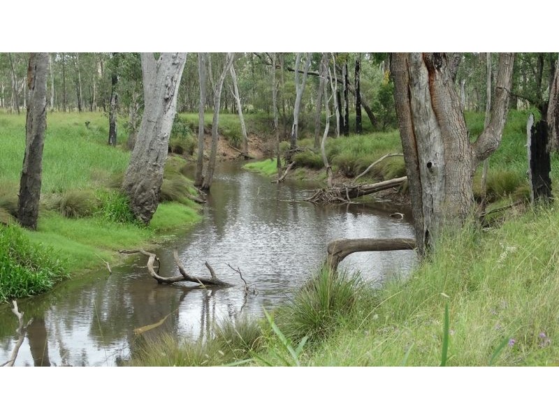 Surcingle Road, Chinchilla QLD 4413