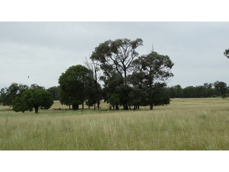 Surcingle Road, Chinchilla QLD 4413